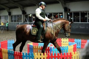 Lessen in Emmen @ Hippisch Centrum Emmen