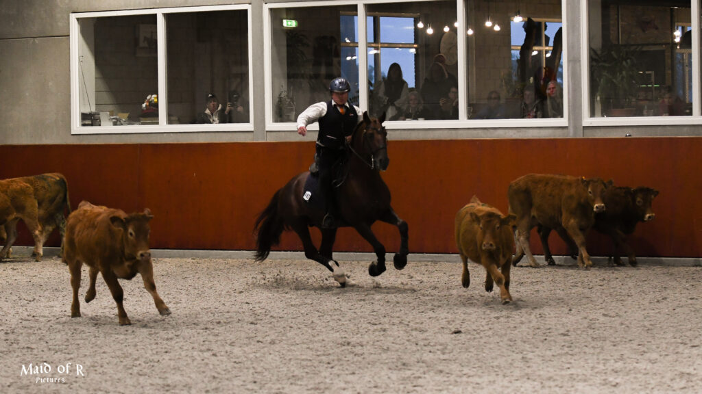 Deze afbeelding heeft een leeg alt-attribuut; de bestandsnaam is DSC_7995-1-1024x576.jpg